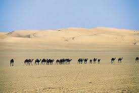 desert arabie