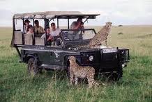 safarikenya