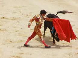 toreador